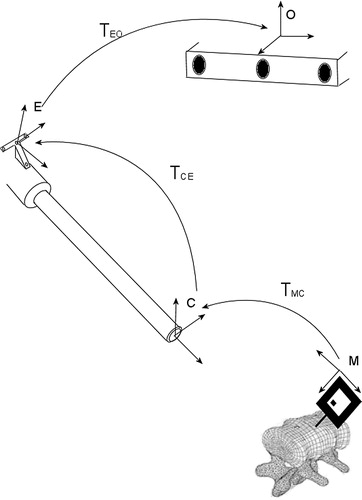 Figure 1. Different coordinate systems in the proposed navigation system. (M: marker; C: camera (endoscope); E: optically trackable marker shield attached to the endoscope; O: Optotrak.)