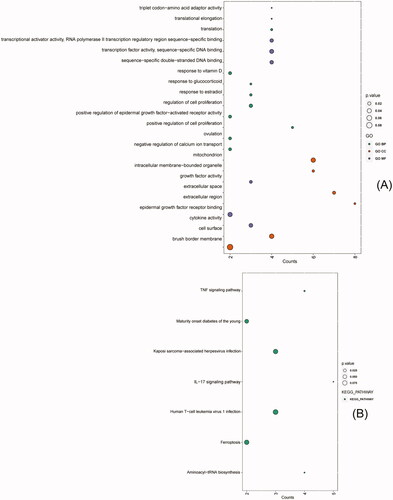 Figure 3. GO and KEGG enrichment analysis of intersecting DEGs (top 10 hub genes, enriched terms ≥ 2 genes and a p. value ≤ 0.1). (A) GO analysis: Biological Process (BP) (green points), Cellular Component (CC) (red points), and Molecular Function (MF) (purple points). (B) KEGG pathways (green points). Point size indicates the p. value of each point.