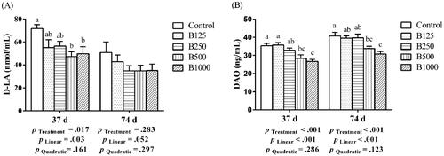 Figure 1. Effect of betaine on serum D-LA content (A) and DAO activity (B) of yellow-feathered broilers at 37 days and 74 days of age. B125, B250, B500, B1,000, basal diet supplemented with 125, 250, 500, 1000 mg/kg betaine, respectively. D-LA: D-lactate; DAO: diamine oxidase. Results are presented as means ± SEM (n = 8). a,b,cBars marked with different superscripts are significantly different (p <.05).