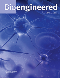 Cover image for Bioengineered, Volume 13, Issue 1, 2022