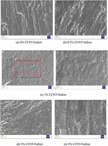 Figure 7. Cross-sectional scanning electron microscope (SEM) images of Nafion membranes with and without the doped CCNT particles. (a) 0% CCNT-Nafion. (b) 0.5% CCNT-Nafion. (c) 1% CCNT-Nafion. (d) 3% CCNT-Nafion. (e) 5% CCNT-Nafion.