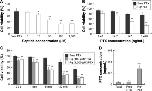 Figure 4 The cytotoxicity of Rq/PTX.Notes: (A) Effects of Rq concentrations on the cell viability of HeLa. The cell viability after 24 hours culture in the normal culture medium following 30 minutes exposure to 1.47 μg/mLPTX with different concentrations of Rq. (B) Effects of PTX concentrations on the cell viability of HeLa. The cell viability after 24 hours culture in the normal culture medium following 30 minutes exposure to 100 μM Rq with different concentrations of PTX. (C) The cytotoxicity of Rq/PTX with various incubation times. The cell viability after 24 hours culture in the normal culture medium following treatments with Rq (10 μM)/PTX (1.47 μg/mL) for 30 seconds, 1 minute, 5 minutes, 30 minutes, and 24 hours, respectively. (D) The intracellular concentration of PTX with 30 minutes treatment of Rq (100 μM)/PTX (1.47 μg/mL). All comparisons were made relative to the free PTX group and the significance of the difference was indicated as *p<0.05 or **p<0.01.Abbreviations: PTX, paclitaxel; Rq, RRRRQWWQW.