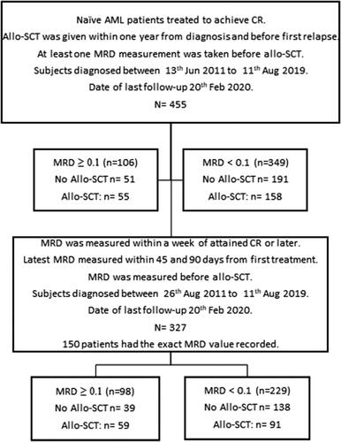 Figure 1. Study disposition including statistically analyzed MRD groups (MRD: measurable residual disease).