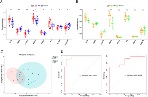 Figure 4 Assessment of the eight biomarkers in GSE48060 and GSE60993 datasets. Boxplot of the expression of eight biomarkers in AMI and control samples in (A) GSE48060 and (B) GSE60993. (C) Principal component analysis (PCA) of GSE60993 based on the expression of biomarkers. (D) ROC analysis of the gene signature based on the eight biomarkers using GSE48060 and GSE60993 databases. P < 0.05 was considered in significant difference, where p < 0.05: *, p < 0.01: **, p < 0.001: *** and p < 0.0001: ****.