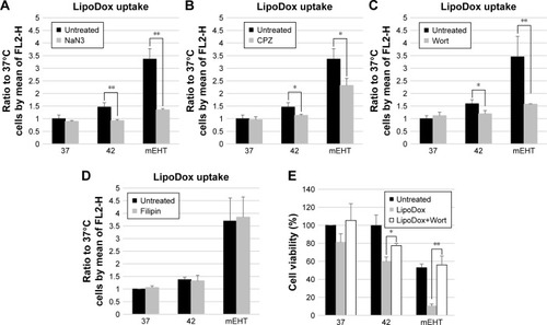 Figure 4 Effect of endocytic-inhibitors on accumulation of Lipodox® and cell viability in HepG2 cells.Notes: Cells were either untreated or pretreated under separate conditions with various inhibitors. (A) NaN3 as ATPase-inhibitor, (B) CPZ, (C) wortmannin, (D) filipin for 30 minutes at 37°C prior to adding Lipodox® (50 µM). The fluorescence signal was measured following incubation for 3 hours at 37°C in all cases. (E) HepG2 cells for viability assay were cultured for 24 hours after treatment, and viable cell yields were determined by the Trypan Blue exclusion method. Data represent mean ± SD (n=3). *P<0.05 and **P<0.01 compared to control.Abbreviations: CPZ, chlorpromazine; Lipodox®, liposome-encapsulated doxorubicin; Wort, wortmannin.