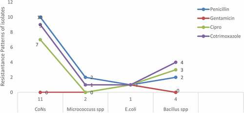 Figure 2. Bacterial isolates and resistance patterns to four commonly used antibiotics in healthcare facilities in Uganda.