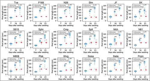 Figure 4. Box plots showing root growth measured by RL in 18 wheat lines of five Triticum species. RL was measured of seedlings grown under 200 mmol/L NaCl for 7 days (14 days after seedling) and 14 days (21 days after seedling) under salt stress. Data of CS are shown in Figure 2b. Significance of differences between the control and stressed seedlings are indicated by asterisks (* represents p < 0.05, **p < 0.01 and ***p < 0.001).