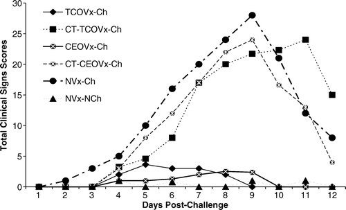 Figure 2.  Total clinical sign scores recorded per day in 8-week-old chickens from day 2 to 12 d.p.c. with ILT virus. Contact-exposed to tissue culture origin vaccinated challenge (CT-TCOVx-Ch), contact-exposed to chicken embryo origin (CT-CEOVx-Ch), and non-vaccinated challenge (NVx-Ch) groups were significantly different (P < 0.05) from the non-vaccinated-non-challenged (NVx-NCh) group, while the tissue culture origin vaccinated challenged (TCOVx-Ch) and chicken embryo origin vaccinated challenged (CEOVx-Ch) groups were not significantly different from the non-vaccinated-non-challenged (NVx-NCh) group.