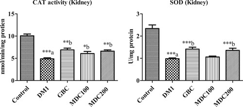 Figure 5. Effect of D. corderoyi extract on Catalase activity and Superoxide Dismutase Enzyme (SOD) in kidney of streptozotocin-induced diabetic rats. Data are expressed as mean ± SD. *** = p ≤ 0.001, ** = p ≤ 0.01, * = p ≤ 0.05 are the p values of significant difference in the different treatment groups in comparison to normal control rat groups. The letters indicate significant difference from diabetic rats.