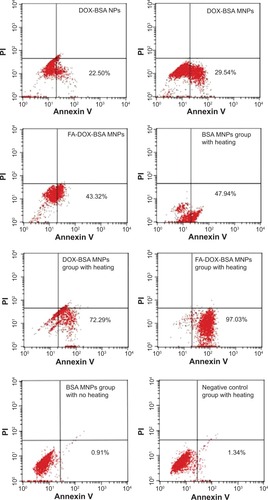 Figure 6 Apoptotic cell contents as determined by flow cytometry.Notes: Apoptosis existed in every treatment group. Fluorescence percentage is included in the flow cytometer scatter diagrams.Abbreviations: FA, folic acid; DOX, doxorubicin; BSA, bovine serum albumin; MNPs, magnetic nanoparticles; NPs, nanoparticles; PI, propidium iodide.