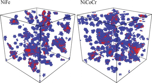 Figure 2. Final snapshots of the MD simulation cells of NiFe and NiCoCr after overlapping cascades to accumulate the dose of 0.25 dpa. The atoms shown in the cells are only the defective atoms according to common neighbor analysis [Citation41]. The color was assigned by the structure type. The red balls denote atoms in BCC or HCP structures, while the blue color balls denote the atoms which are in neither FCC nor BCC and HCP structures.