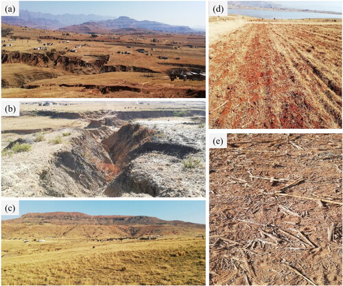 Figure 7. Landscape conditions in the study area; (a,b) severe erosion problem in the Central and Eastern parts, (c) rangeland in the Central Eastern parts, (d) agricultural areas in the fallow time, (e) and maize crop residues dispersed in the farm.