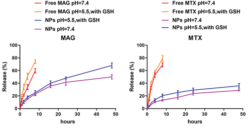 Figure 7. Release rates of MAG and MTX from free MAG, MTX and nanoparticles under neutral conditions or in the simulated tumor-endosomal microenvironment (pH=5.5, with 10 nM GSH).