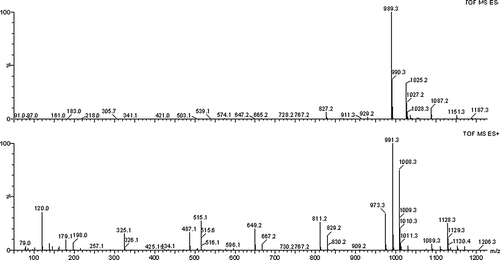 FIGURE 3 ESIMS spectra of 62−α-maltotriosyl-maltotriose in the negative and positive mode.