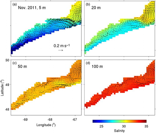 Fig. 3 Monthly-mean fields of salinity and currents for November 2011 calculated from model results at depths of (a) 5, (b) 20, (c) 50, and (d) 100 m in the St. Lawrence Estuary. Velocity vectors are shown at every model grid point.