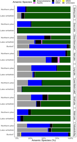 Figure 3. Proportion of detected arsenic species in the muscle tissue of fish across lakes. *Burbot arsenic concentration was measured in liver tissue.