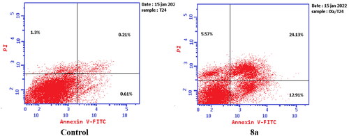 Figure 14. Representative dot plots of T-24 cells treated with 8a (3.36 μM) for 24 h and analysed by flow cytometry after double staining of the cells with annexin-V FITC and PI.
