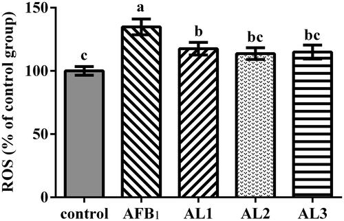 Figure 4. Effects of lycopene on hepatic reactive oxygen species (ROS) concentration in AFB1-exposed broiler chickens. Data are represented as mean ± SEM. Different letters above bars are significantly different (P < .05). AFB1, aflatoxin B1; Control, basal diet; AFB1, basal diet with 100 μg/kg AFB1; AL1, basal diet with 100 μg/kg AFB1 and 100 mg/kg lycopene; AL2, basal diet with 100 μg/kg AFB1 and 200 mg/kg lycopene; AL3, basal diet with 100 μg/kg AFB1 and 400 mg/kg lycopene.