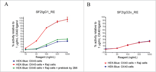 Figure 3. The effects of FcγRIIB crosslinking on the agonistic activities of engineered SF2 antibodies by HEK-Blue NF-κB reporter assay. (A) Increasing concentrations (10 ng/mL to 1000 ng/mL) of SF2IgG1_RE were incubated with HEK-Blue: OX40 cells with or without co-culturing with Raji cells. Another set of assays were set up in which Raji cells were pre-incubated with 5 μg/mL 2B6 antibody before co-culturing with HEK-Blue: OX40 cells to test the effect of blocking FcγRIIB-mediated crosslinking. Agonistic activities of the antibodies were assessed by the HEK-Blue NF-κB reporter assay. Agonistic activities of SF2 antibodies, normalized as percent activity relative to that driven by 1 μg/mL OX40 ligand, were plotted vs. the concentrations of test antibodies (Data expressed as mean ± SEM, n = 2). (B) Similar assays were set up to study the effects of co-culturing with Raji cells on the agonistic activities of SF2IgG2σ_RE (Data expressed as mean ± SEM, n = 4).