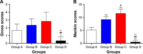 Figure 7 Gross scores (A) and Mankin scores (B).Notes: *Group A vs groups B, C, and D. #Group B vs groups C and D. ^Group C vs group D. **,##,^^P<0.01. *,#P<0.05. Group A: the bioactive resveratrol–PLA–gelatin porous nano-scaffold group. Group B: the blank porous PLA–gelatin nano-scaffold group. Group C: the no scaffold group. Group D: the sham group.