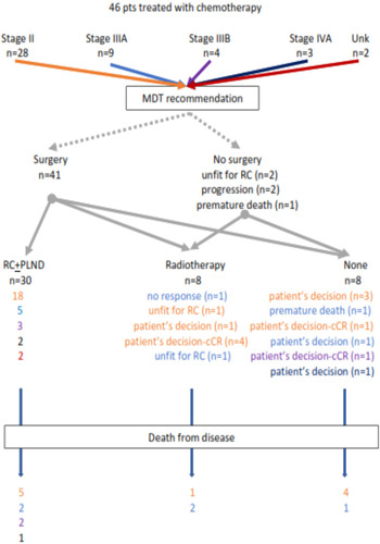 Figure 1 Type of post chemotherapy management of 46 patients with muscle-invasive bladder cancer referred for “neoadjuvant” chemotherapy to the multidisciplinary tumor board. Colours correspond to the initial clinical stage.