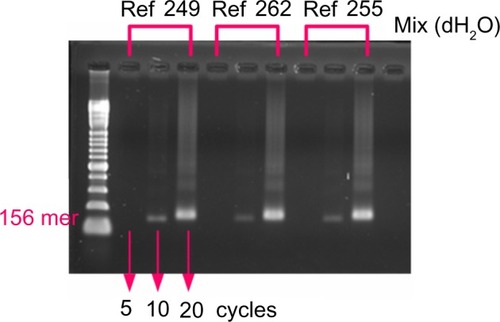 Figure 7 Gel electrophoresis confirmation of complementary target hybridization.