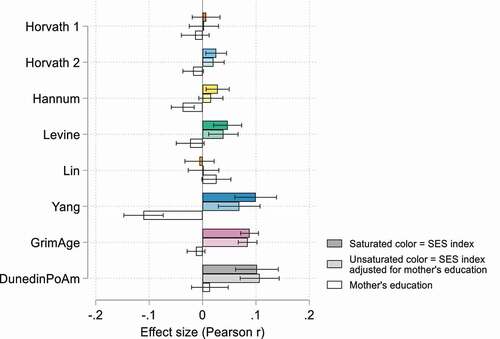 Figure 3. Effect size (Pearson r) estimates for associations between epigenetic clocks and the SES index with and without adjustments for mother’s education, HRS (n = 4,018).