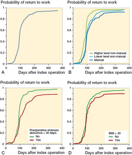 Figure 2. Probability of return to work overall (A), or according to occupational status (B), preoperative sickness absence (C), and obesity (D). The expected dispersion of survival curves between categories of these patient characteristics was observed across the entire follow-up period (log-rank test: p < 0.001 for occupational status and sickness absences, p = 0.01 for obesity).Baseline characteristics of the patients and their associations with the rate of return to work after THA. Hazard ratios (HR) and their 95% confidence intervals (CI) are derived from Cox proportional hazard analyses. Schemper’s weighted Cox regression was used concerning occupational status, alcohol consumption and self-related health because proportional hazards assumption was not fulfilled