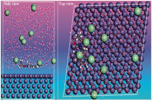 Figure 12. Stable configurations for the adsorption of CPHQ on Fe(110) surface obtained from MD simulations.