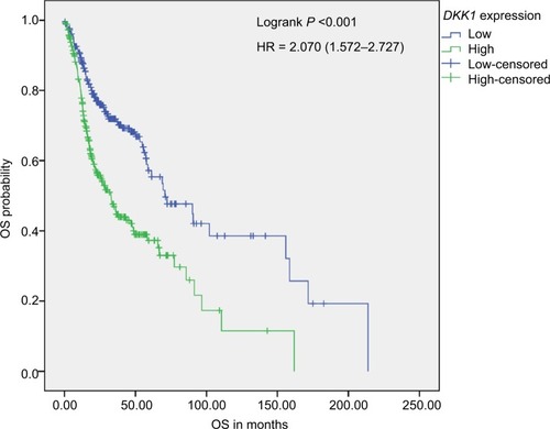 Figure 2 Kaplan–Meier survival analysis.Notes: Kaplan–Meier analysis of OS in 517 HNSCC patients stratified according to median DKK1 expression. OS in patients with high DKK1 expression was significantly reduced compared with that of patients with low DKK1 expression.Abbreviations: HNSCC, head and neck squamous cell carcinoma; OS, overall survival.