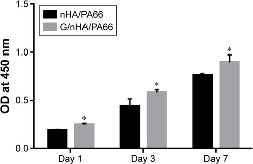 Figure 2 Cytotoxicity study of G/nHA/PA66 was performed by CCK-8 assay.Note: *P<0.05 compared to the respective control (n=3).Abbreviations: CCK-8, Cell Counting Kit-8; G/nHA/PA66, graphene/nanohydro-xyapatite/polyamide66; nHA/PA66, nanohydroxyapatite/polyamide66; OD, optical density.