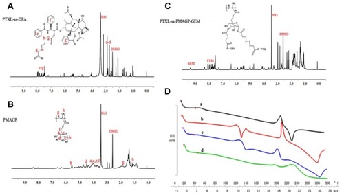 Figure 2 The 1H-NMR spectra of PTXL-ss-DPA (A), PMAGP (B), and PTXL-ss-PMAGP-GEM in DMSO-d6 (C). (D) Differential scanning calorimetric (DSC) thermographs of (a) PTXL, (b) GEM, (c) physical mixture of PTXL and GEM, (d) and PTXL-ss-PMAGP-GEM (exo up).