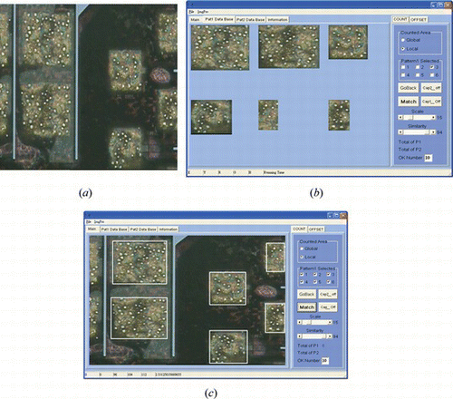 Figure 5 (a) ACF inspection image of the conducting particles distributed in diversified blocks. (b) Settings for complex template. (c) Result display of synchronous comparison of complex template (color figure available online).