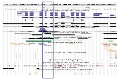 Figure 6. SLC39A4 methylation in a genomic context. Methylation in the SLC39A4 gene was examined in the UCSC Human Genome Browser, at positions of differentially methylated probes. Annotations for histone modifications, DNase hypersensitivity, CpG island, numerous transcription factors (by ChIP-seq) and an annotated 5ʹ end of a gene isoform all implicate an alternative promoter