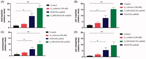 Figure 7. (A, B) Quantitative PCR analysis of EGF, IGF-1 mRNA levels in Ishikawa cells treated with different preparations after 72 h. *p < .05, **p < .01 vs control group. (C, D) Quantitative PCR analysis of EGFR, IGF-1R mRNA levels in Ishikawa cells treated with different preparations after 72 h. *p < .05, **p < .01 vs control group. Data are presented as mean ± standard deviation; n = 3.