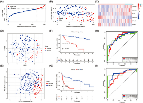 Figure 3 Evaluation of the Novel Ferroptosis-Related LncRNA Risk Score Prognostic Model in the GEO Dataset (A) The distribution and optimal cut-off value of risk scores in the training cohort. (B) The distributions of OS status, OS and risk score. (C) Heatmap of the expression levels of the 6 selected FRLs. (D and E) t-SNE and PCA plot of the CLL cohort visualizing the distribution of the low and high-risk groups. (F and G) Kaplan–Meier survival curves for OS and TFS of CLL patients stratified by FPS risk score. (H and I) Time-dependent ROC curves of the risk model for predicting the 1-, 3- and 5-year OS and TFS.