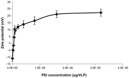 Figure 5 Investigation of PEI and AAV2-VLPs interaction by zeta potential analysis. The PEI coating amount evaluated in the range of 1 × 10−8 to 3.2 × 10−6 μg/VLP. After coating, the excess PEI was removed by washing with 100 kDa cut-off centrifugation column. Zeta potential of PEI-AAV2-VLPs was measured in PBS buffer (pH 7.4). Total of five measurements were taken from each points. The results were plotted as means ± standard error. Coating of PEI led to a sharp increase of zeta potential of particles from −11 to +11.9 mV within 5 × 10−8 μg/VLP of PEI used. The amount of PEI in transition point (5 × 10−8 μg/VLP) was determined as the minimum amount for forming a stable layer on AAV2-VLP surface.