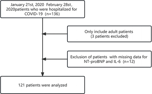 Figure 1 Flow chart describing the inclusion and exclusion criteria for study patients.