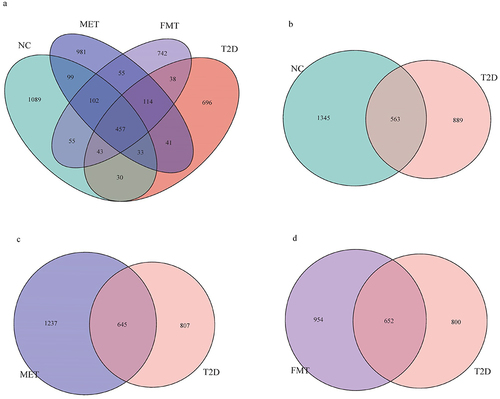 Figure 2 Venn diagram. The number of OTUs shared or unique among different groups. (a) Four groups of NC, T2D, MET and FMT are shown. (b) The NC and T2D groups. 2.(c) The MET and T2D groups. (d) The FMT and T2D groups.
