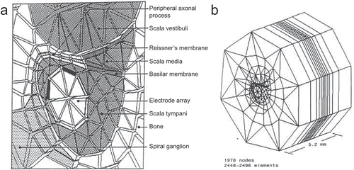 Figure 2. Illustration of the unrolled human cochlea geometry used by Finley et al. (Citation1990). Figure a shows a close-up view of how the cross section of the cochlea and electrode is segmented; Figure b shows the full geometry.