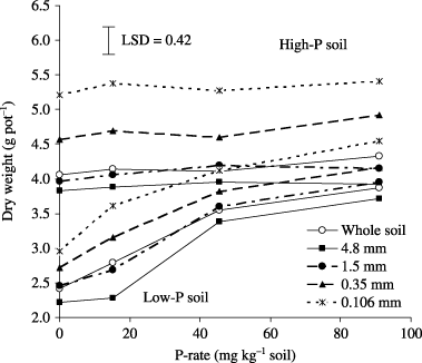 Figure 5  Effect of aggregate size on the shoot dry weight of rice. Error bar represents one LSD at P < 0.05.