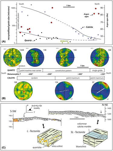 Figure 10. (A) Graph representing the evolution of recrystallized grain sizes in quartz and calcite as well as the distribution of 40Ar/39Ar ages; (B) Summary of fabric variations in quartz and calcite across southern Sivrihisar with approximate metamorphic temperatures recorded in the Barrovian sequence; (C) Cross section of field area (location, Figure 2) and schematic block diagrams illustrating outcrop-scale strain relations (plane strain SL tectonite in north; constriction strain L-tectonite in south).