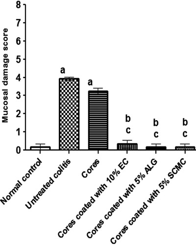 Figure 8 Mucosal damage scoring of (H&E) stained sections of rabbits colon in all studied groups.