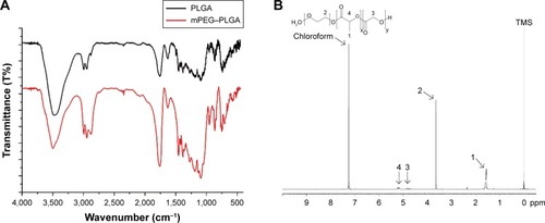 Figure 3 Characterization of mPEG–PLGA copolymers.Notes: (A) FT-IR spectra of mPEG–PLGA and PLGA. (B) Citation1H NMR spectrum of mPEG–PLGA.Abbreviations: FT-IR, Fourier transform infrared; mPEG, methoxy poly(ethylene glycol); NMR, nuclear magnetic resonance; PLGA, poly(lactic-co-glycolic acid); TMS, tetramethylsilane.