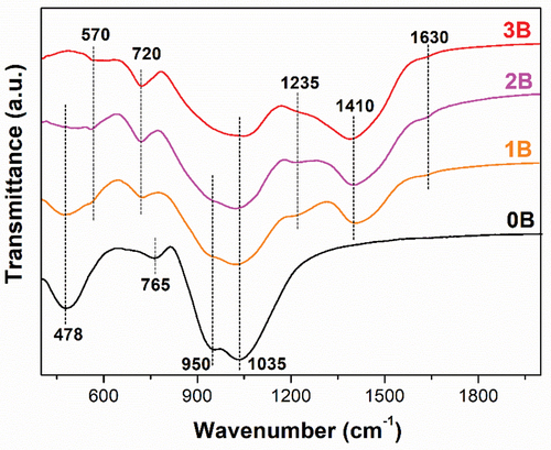 Figure 1. FTIR spectra of 0B, 1B, 2B and 3B bioglasses.