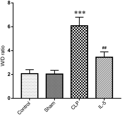 Figure 2. Effect of IL-5 on water content in the lung tissue of rats with CLP