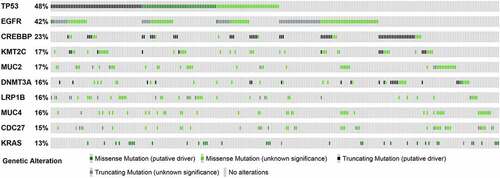 Figure 3. The top 10 high-frequency mutation genes of 206 patients were visualized by OncoPrinter. Each gray box from left to right represents the mutation of a sample