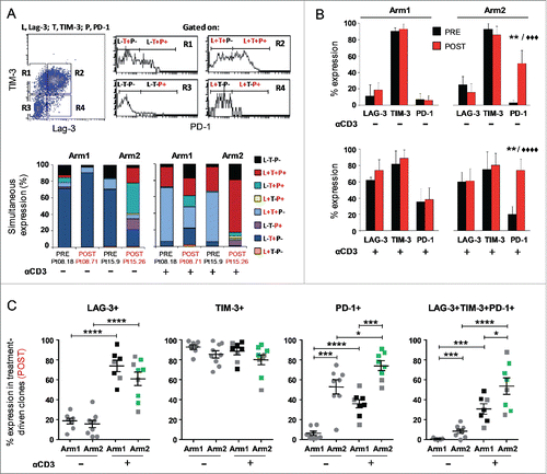 Figure 3. Melan-A-specific CD8+ T-cell clones isolated after DTIC plus vaccination display the highest level of PD-1 inhibitory receptor expression. (A) Representative flow cytometric analysis of multicolor staining, with the relative gating strategy, for simultaneous LAG-3 (L), TIM-3 (T) and PD-1 (P) expression. The multicolor histograms show the quantification of all possible combinations of molecule co-expression, for representative clones isolated either before (PRE) or at the end (POST) of both treatments. The staining was performed under basal cell culture conditions (−) or after over-night activation by plate-bound anti-CD3 mAb (2 µg/mL) (+). (B) Comparison from pooled data of inhibitory receptor profiles in PRE (black histograms) vs. POST (red histograms) treatment, displayed as single receptor expression, with (+) or without (−) anti-CD3 mAb activation. Each bar represents the mean percentage (± SD) of inhibitory receptor expression of Melan-A-specific T-cell clones isolated from patients of Arm1 (n = 2) and of Arm2 (n = 3), before (PRE, n = 6 for Arm1, n = 7 for Arm2) and after (POST, n = 7-8 for Arm1, n = 7–9 for Arm2) treatments. (C) The percentage of single or simultaneous inhibitory receptor expression in T-cell clones isolated at the end of both treatments (POST), with (■) or without (•) anti-CD3 activation. Each dot represents the mean value out of three–five independent experiments performed on a single T-cell clone. The mean ± SEM of each indicated sample group is shown. Black and green dots, clones negative or positive for pSer473-AKT, respectively, as assessed by Western blot analysis; gray dots, clones not tested for AKT phosphorylation. */♦p ≤ 0.05, **/♦♦p ≤ 0.01, ***/♦♦♦p ≤ 0.001, ****/♦♦♦♦p ≤ 0.0001, Mann–Whitney two-sample (*) test and two-tail Student’s test (♦), respectively.