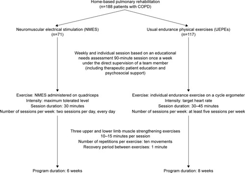 Figure 1 Description of intervention program in patients performing rehabilitation with NMES or with UEPEs.