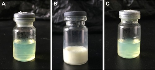 Figure 1 Appearance of MX-BSA-NS before lyophilization (A), after lyophilization (B), and after redispersion (C).Abbreviations: BSA, bovine serum albumin; MX, meloxicam; NS, nanosuspension.